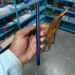 Tecno Camon 15